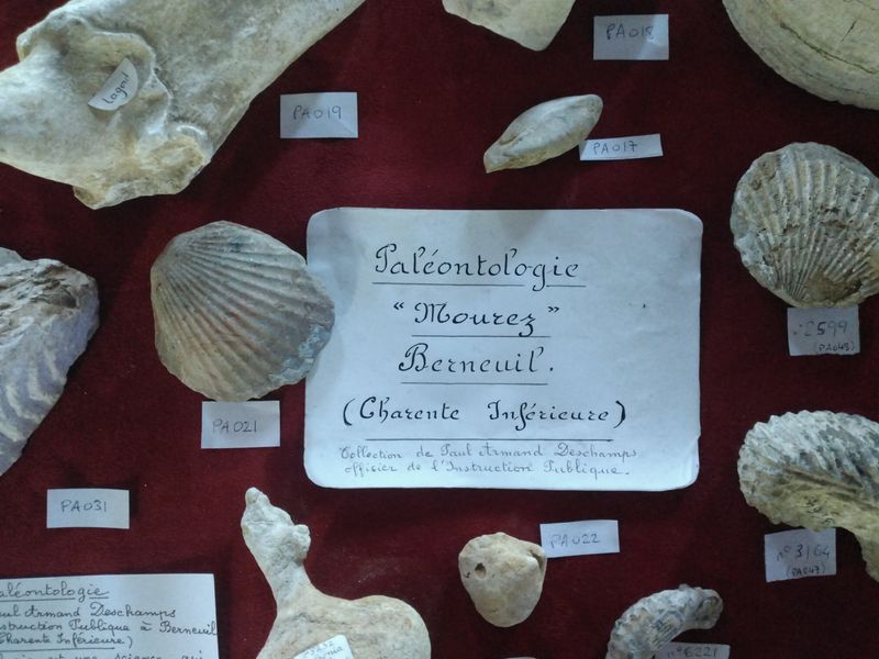Photo 3 de Société d'histoire et d'archéologie de Pons et sa région
